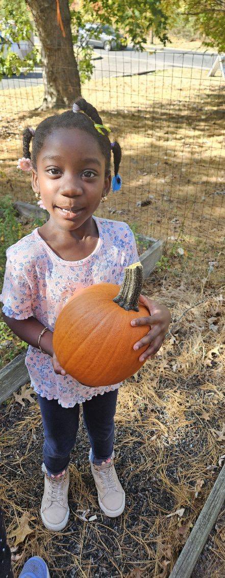 ProjectBeforeGF's tweet image. The pumpkin patch came to GF this week! We had so much fun picking our favorite pumpkins! 🎃
