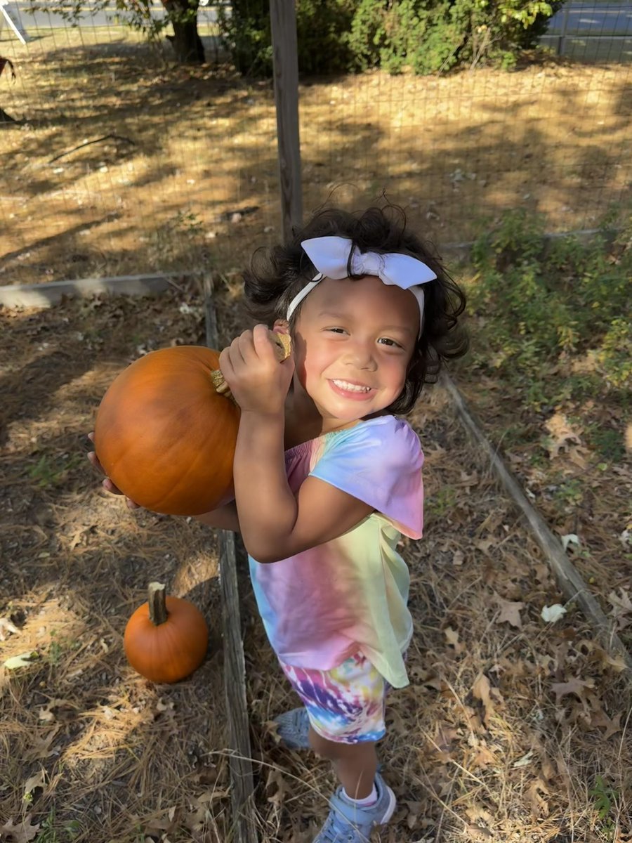 ProjectBeforeGF's tweet image. The pumpkin patch came to GF this week! We had so much fun picking our favorite pumpkins! 🎃