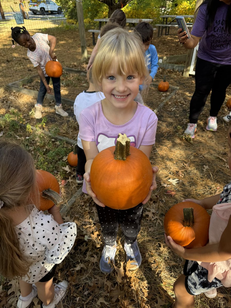 ProjectBeforeGF's tweet image. The pumpkin patch came to GF this week! We had so much fun picking our favorite pumpkins! 🎃