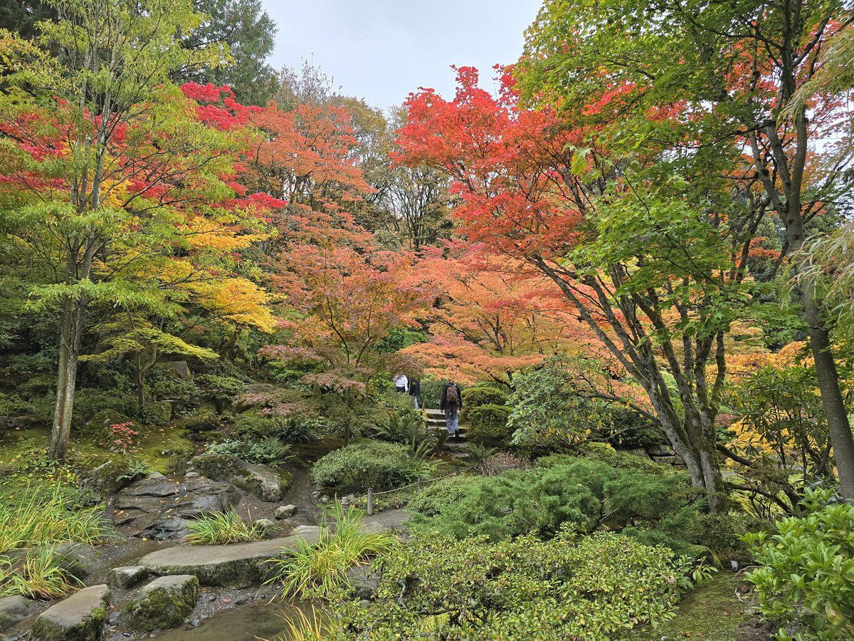 Le jardin japonais de Seattle est superbe en automne !