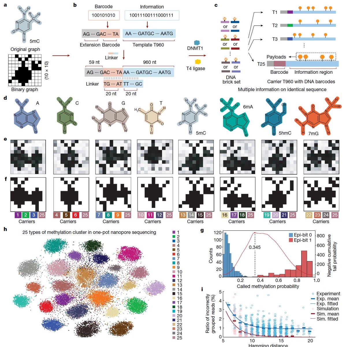 Gene Regulation tweet media