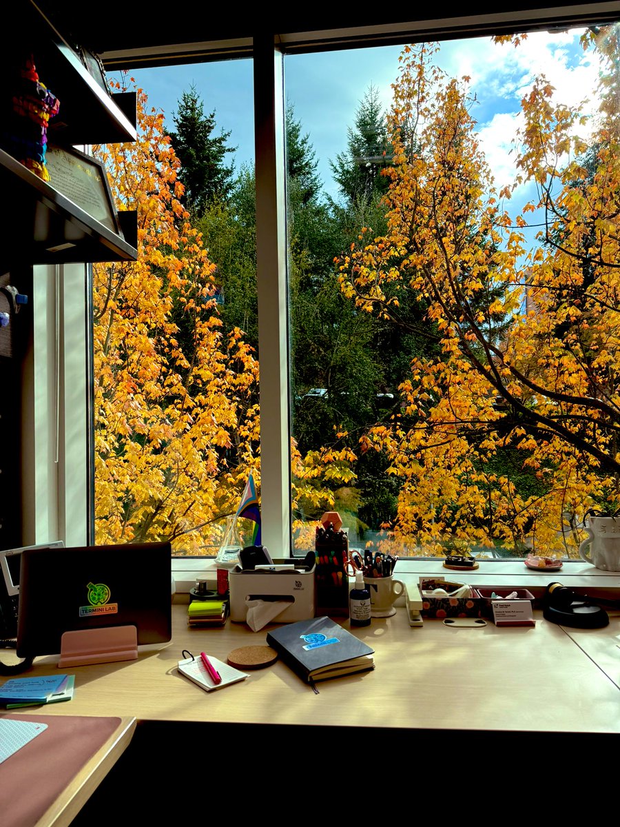 Tina Termini tweet media