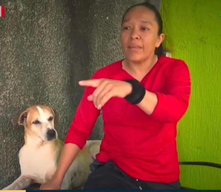 YoAmoaLaCiencia's tweet photo. 🚨 Intento de feminicidio en Cancún por salvar a un perro de morir a machetazos

Aline "la chinita" González, boxeadora y activista por los derechos de los animales, ha sido víctima de intento de feminicidio tras rescatar a una perra que sus dueños querían matar a machetazos.

El día de ayer 22 de octubre, sufrió tres diferentes atentados, en los que arrojaron gasolina y prendieron fuego a su domicilio, donde resguarda a otros animales.

Las amenazas han ido en aumento a pesar de que levantó una denuncia en la Fiscalía General del Estado de Quintana Roo con el número FGE/QROO/BJ/10/20767/2024.

Sin embargo, las autoridades de Cancún no han detenido a ninguno de los responsables.

A pesar de contar con evidencias tanto del maltrato animal como de las agresiones contra la activista Aline González.

Hacemos un llamado a la Gobernadora Mara Lezama, así como al Fiscal de Quintana Roo, Raciel López Salazar, para que este caso de violencia no quede impune.

Presidenta Municipal de Benito Juárez Ana Patricia Peralta (municipio donde se encuentra Cancún) deberá intervenir en la protección de la activista. 

No se puede permitir que esta situación incremente ni que sea víctima de un delito más grave