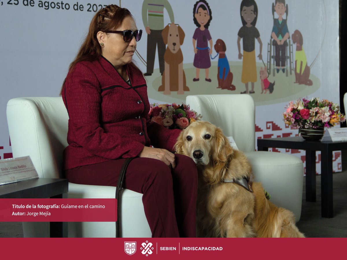 indiscapacidad_'s tweet photo. Las #PcD tienen el derecho a la #VidaIndependiente y el derecho a recibir #Apoyos. Los #PerrosGuía muestran cómo la #AsistenciaAnimal contribuye a la #AutonomíaYMovilidad de las #PcDVisual. El @indiscapacidad_ te invita al recorrido por el #FotoLibroImbatibles https://t.co/47cyhNo2m7
