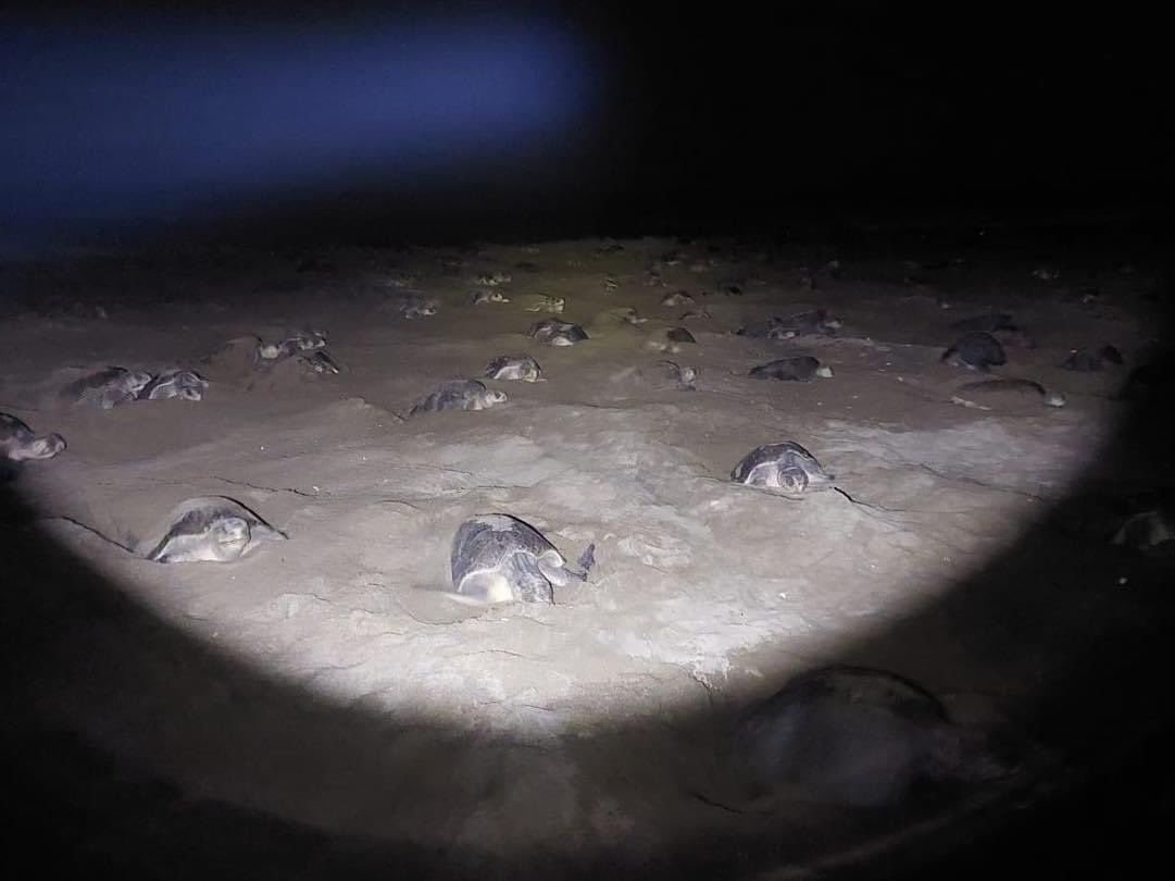 Lo Que Circula En Redes Sociales tweet media