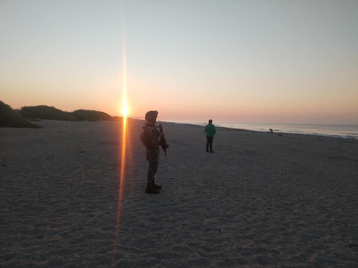 Lo Que Circula En Redes Sociales tweet media