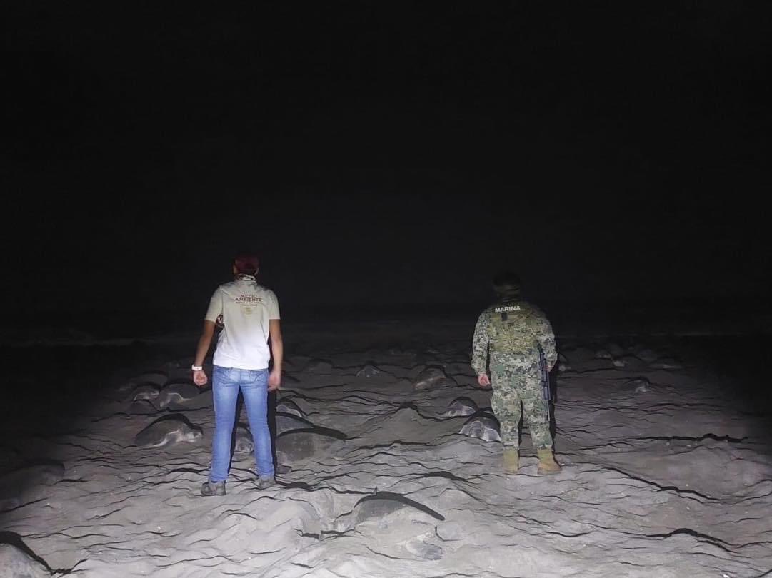 Lo Que Circula En Redes Sociales tweet media