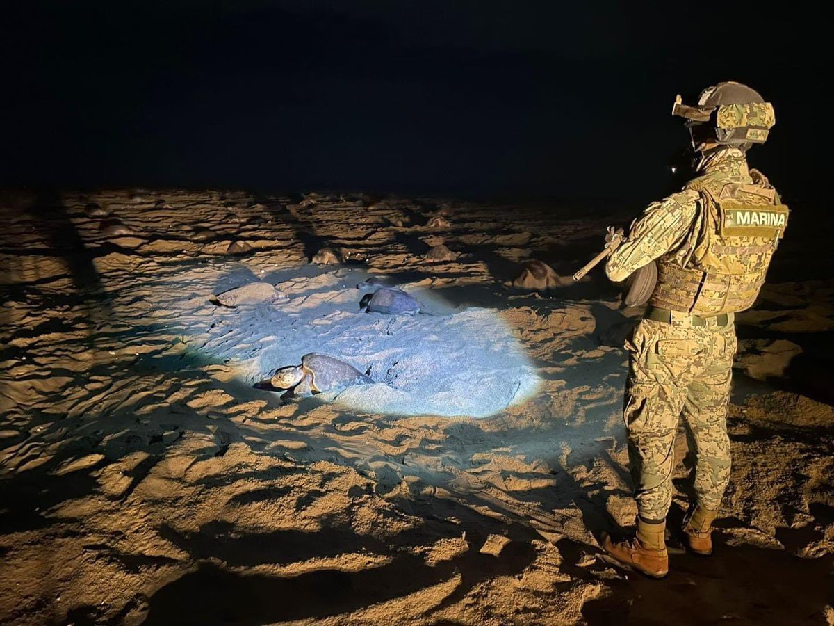 Lo Que Circula En Redes Sociales tweet media