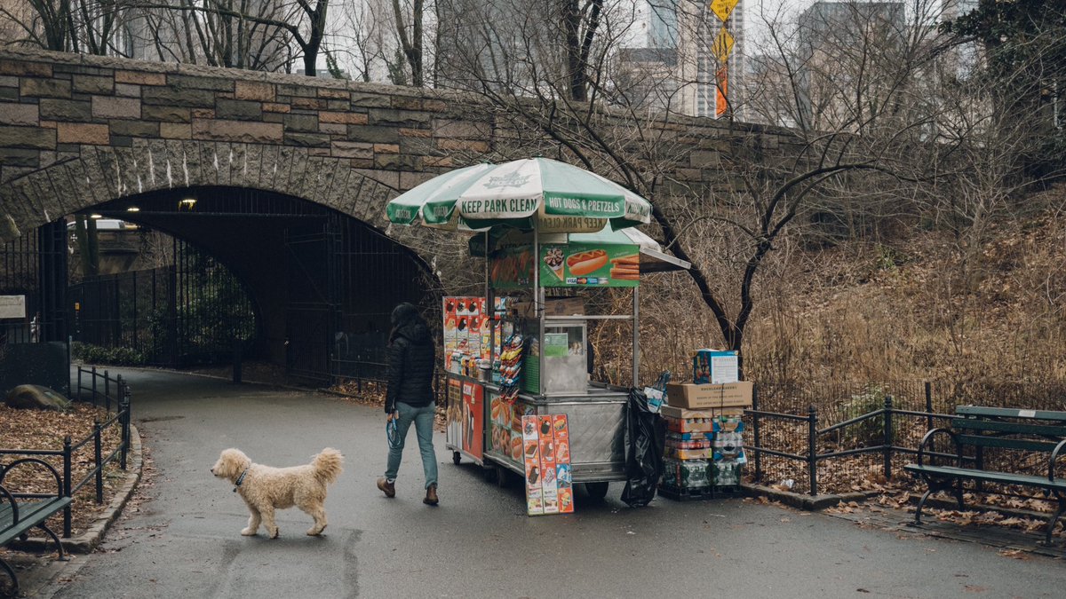 mutluph's tweet photo. Central Park
#fujifilm #fujifilm_xseries #myfujifilmlegacy #fujifilmx_us https://t.co/1NB0S1Hgyi