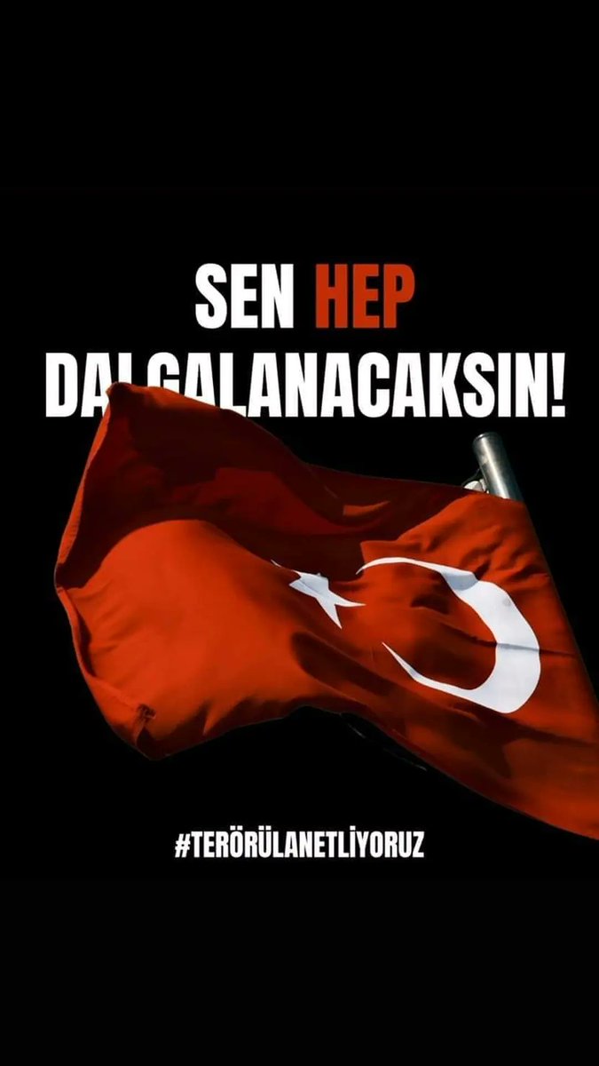 İLKNUR TERCAN🐞 (@lknurtercan) on Twitter photo 