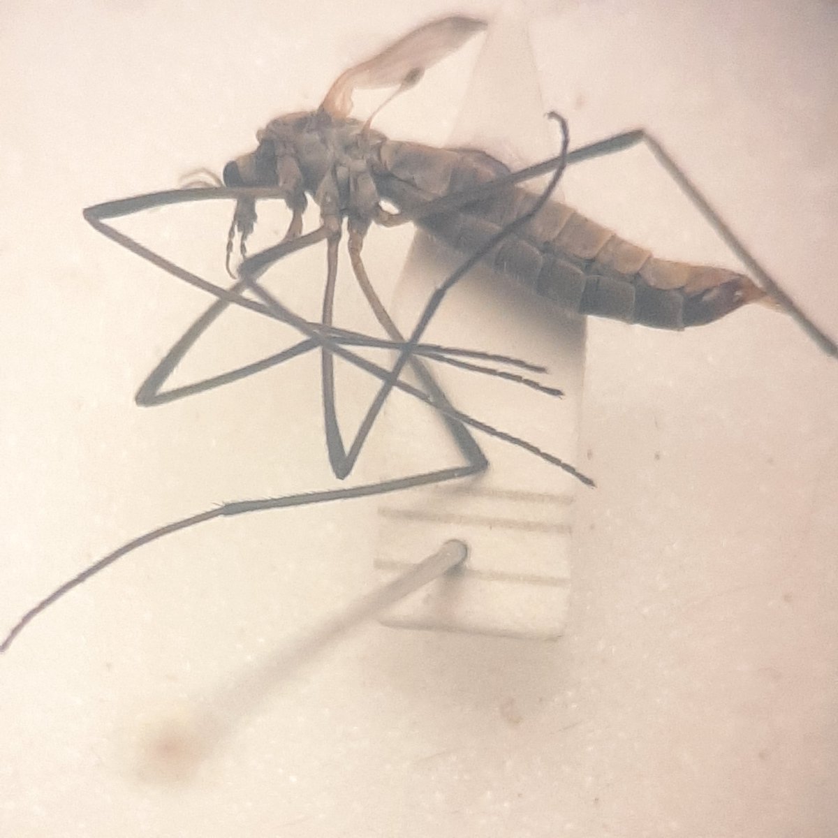 Hilco Meijer tweet media