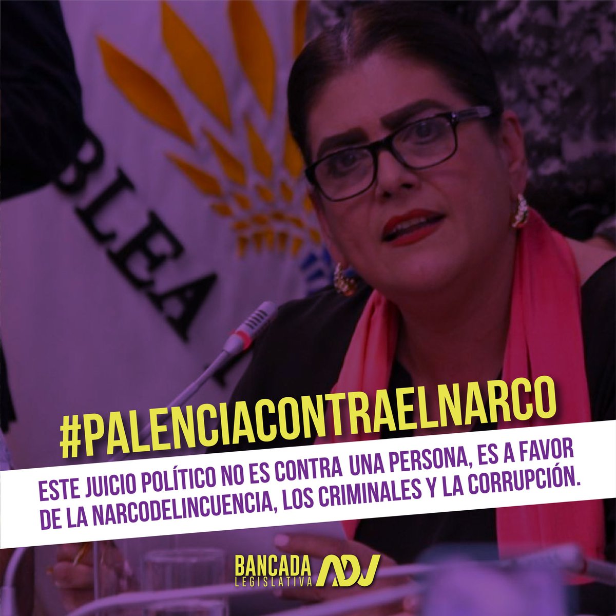 BancadaADN's tweet photo. Todo nuestro apoyo a quien, con mano dura, ha enfrentado el crimen transnacional, el terrorismo, el narcotráfico, la minería ilegal y la delincuencia organizada. No permitiremos que el Ecuador sea rehén de intereses partidistas, de aquellos que, mientras estuvieron en el poder; dejaron que la delincuencia reinara en nuestro país.

Seguiremos firmes en apoyo a la ministra Palencia, quien ha demostrado su compromiso en la lucha contra la inseguridad en Ecuador.

#PalenciaContraElNarco