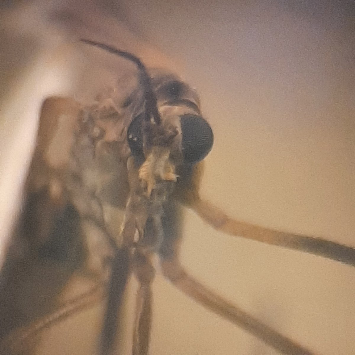 Hilco Meijer tweet media