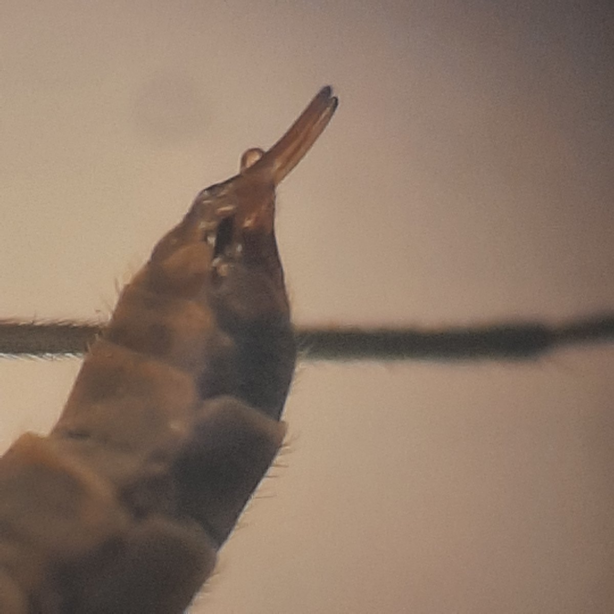 Hilco Meijer tweet media