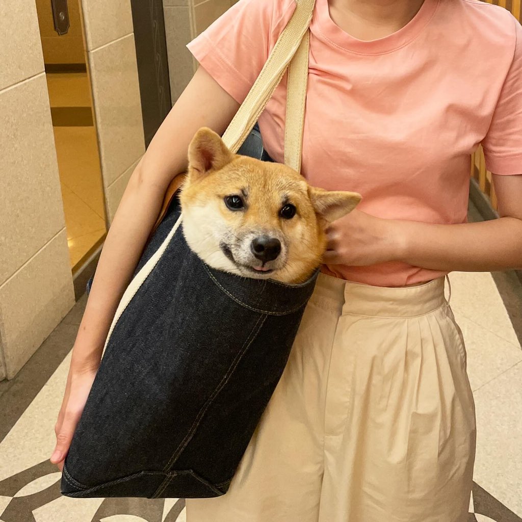 Gokku (@gokkuuz) on Twitter photo 