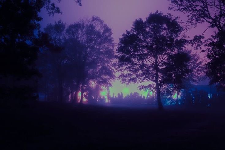 violet✧*。 tweet media