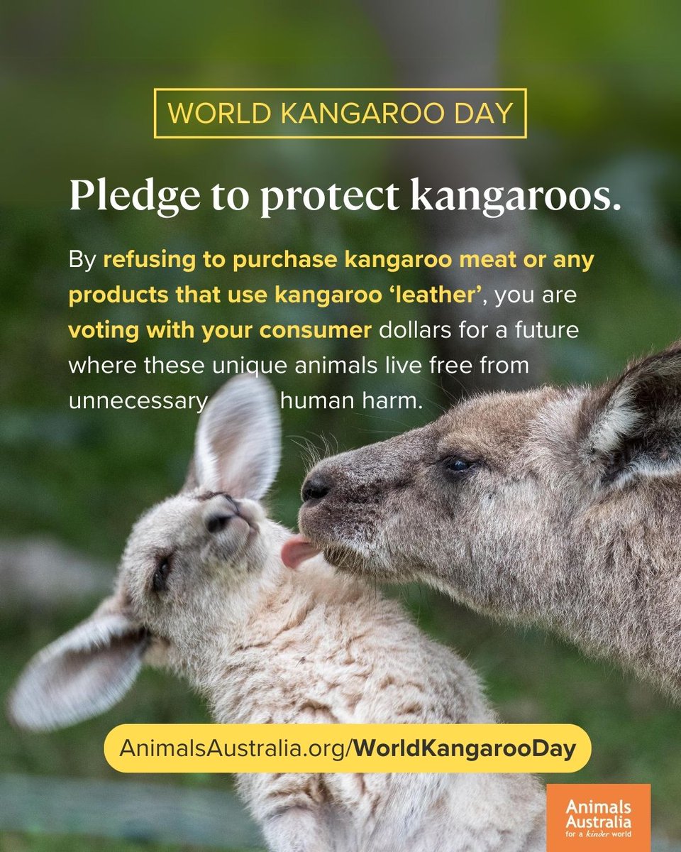 Animals Australia tweet media