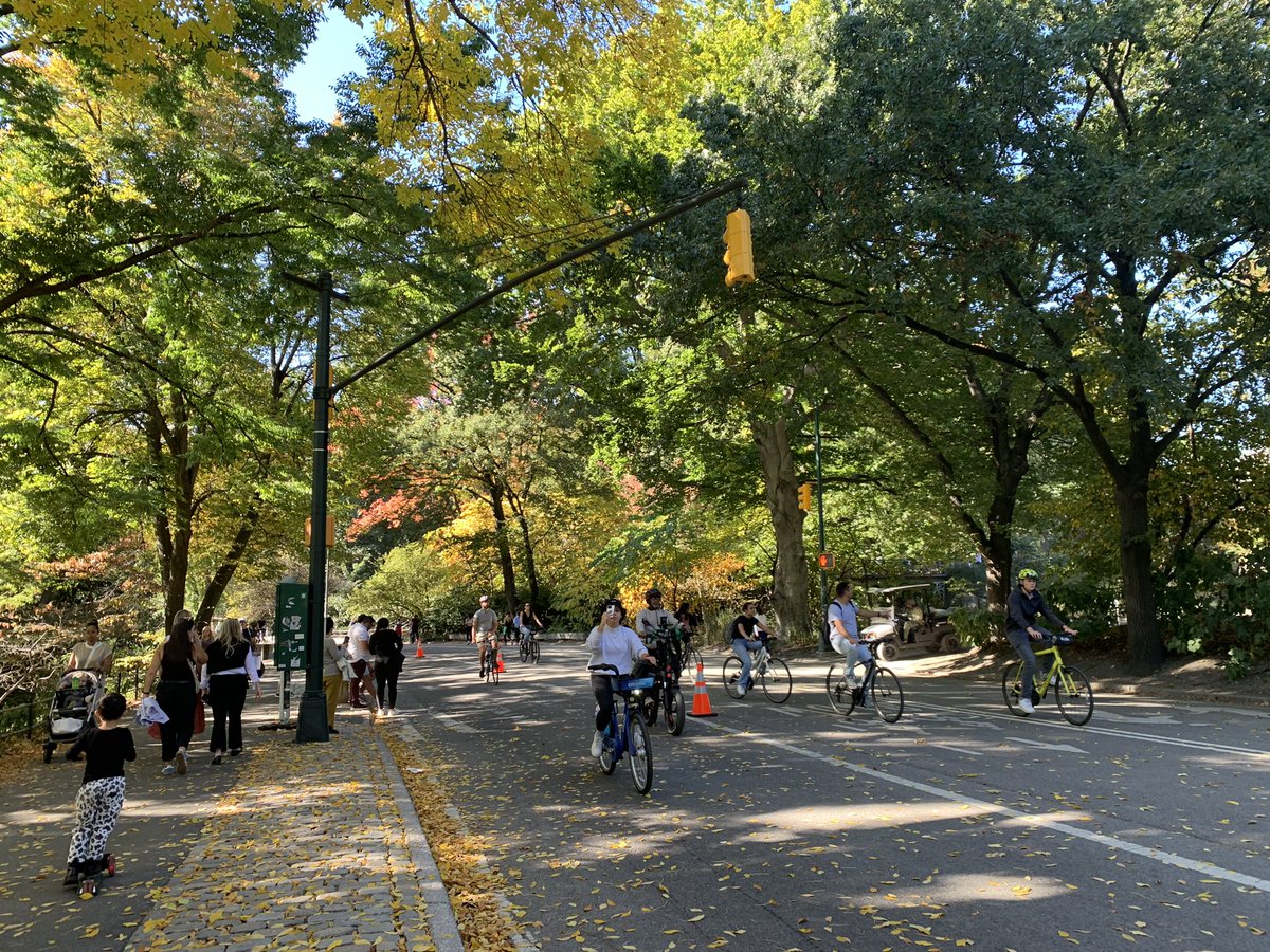 OFFOFFNYTOURS's tweet photo. セントラル・パークでジョギング、サイクリング。今が紅葉で美しい時。 https://t.co/m4o12Yzw1l
