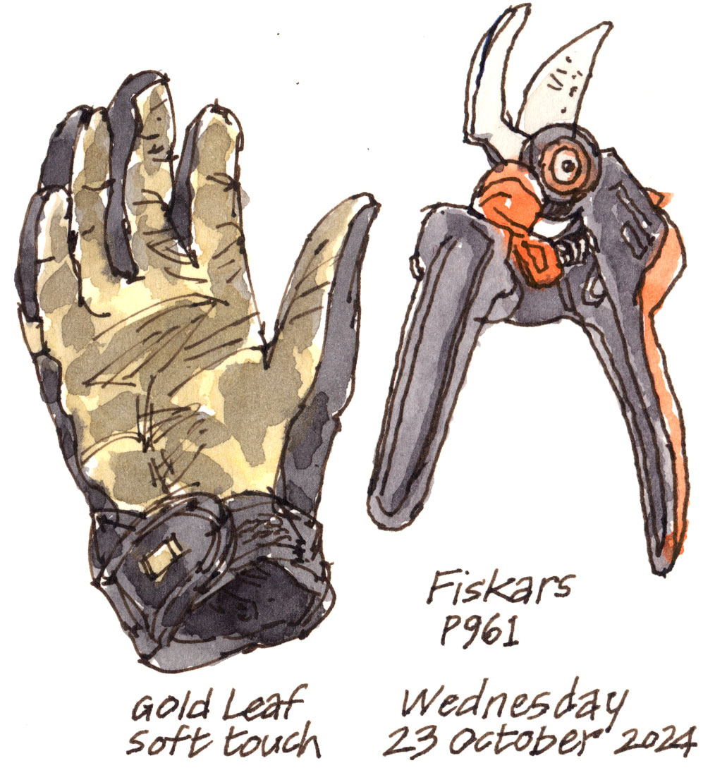 Wild_Yorkshire's tweet image. Continuing to trim the holly, hawthorn and hazel.

#fiskars #secateurs #goldleafgardenglove

wildyorkshire.blog/2024/10/trimmi…