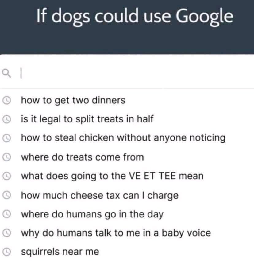 beagle_lover tweet media