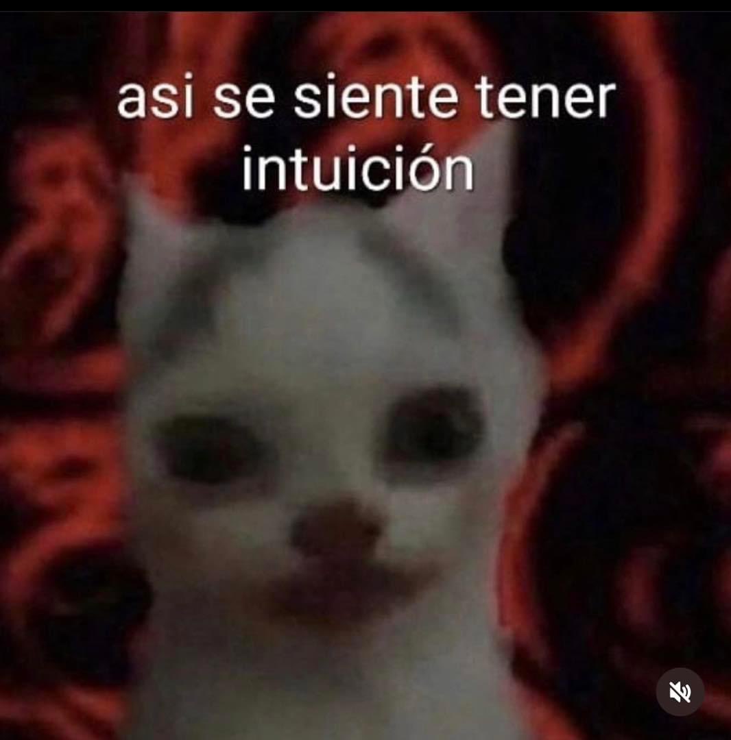 memes feos yo qué sé (@memefeos) on Twitter photo 