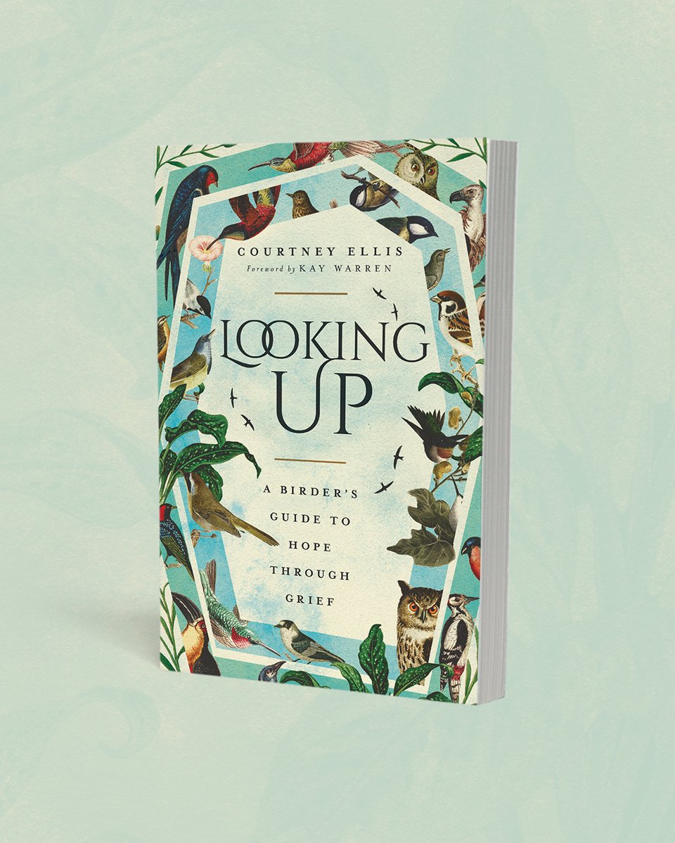 Good news to all of you who've been asking - I just found out there's going to be an audiobook for Looking Up.

And I get to record it!

AND it's going to have bird calls in itttttttttt! 🎉