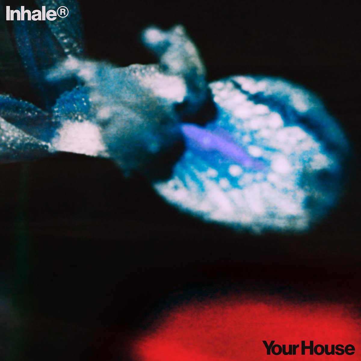 InhalerDublin's tweet image. Your House. 29.10.

The first single from our new album. We can’t wait for you to finally hear it. 

inhaler.lnk.to/YourHouse