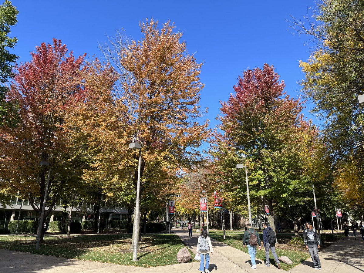 Spectacular work views this month. The UIC campus in the fall is a beautiful place to be.