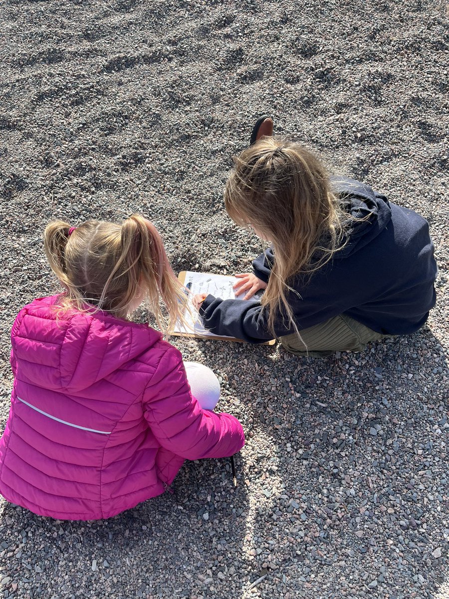 mspenneysclass's tweet photo. Grades k-3 went on a nature scavenger hunt today for #TakeMeOutsideDay @bishopwhiteNL @schoolsportsnl https://t.co/0Wb9nQX4xE