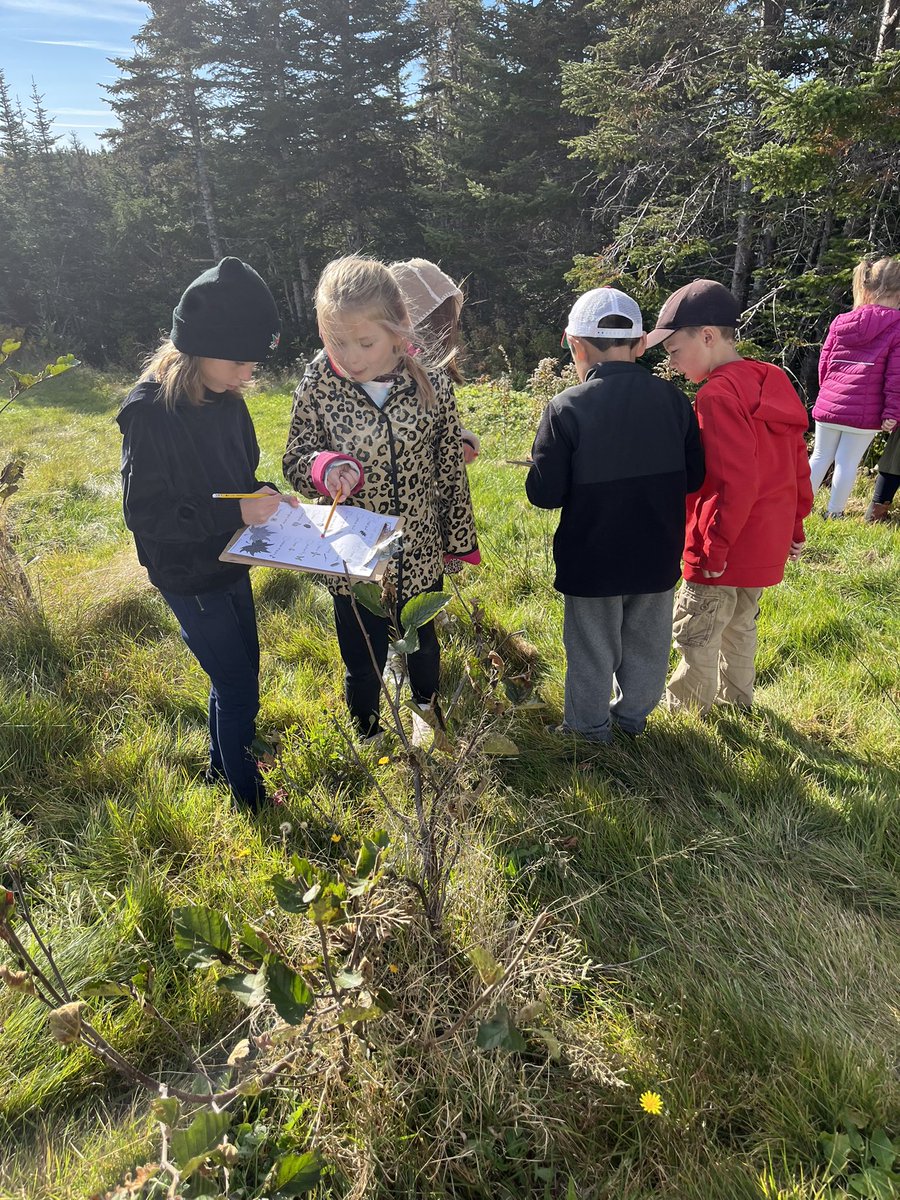mspenneysclass's tweet photo. Grades k-3 went on a nature scavenger hunt today for #TakeMeOutsideDay @bishopwhiteNL @schoolsportsnl https://t.co/0Wb9nQX4xE