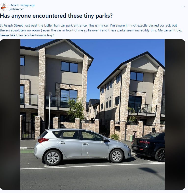 Mister P @🏠🪡 tweet media