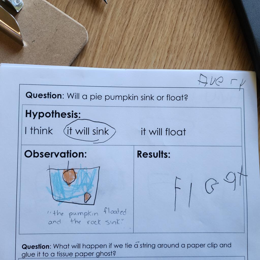 AvilaFDK106's tweet photo. Will a pumpkin sink or float?
Ss made hypotheses &amp; then we tested it out. As a follow-up, Ss recorded their observations &amp; results.
@AvilaDPCDSB @dp_EarlyYears https://t.co/qd4L7Cy5ZC