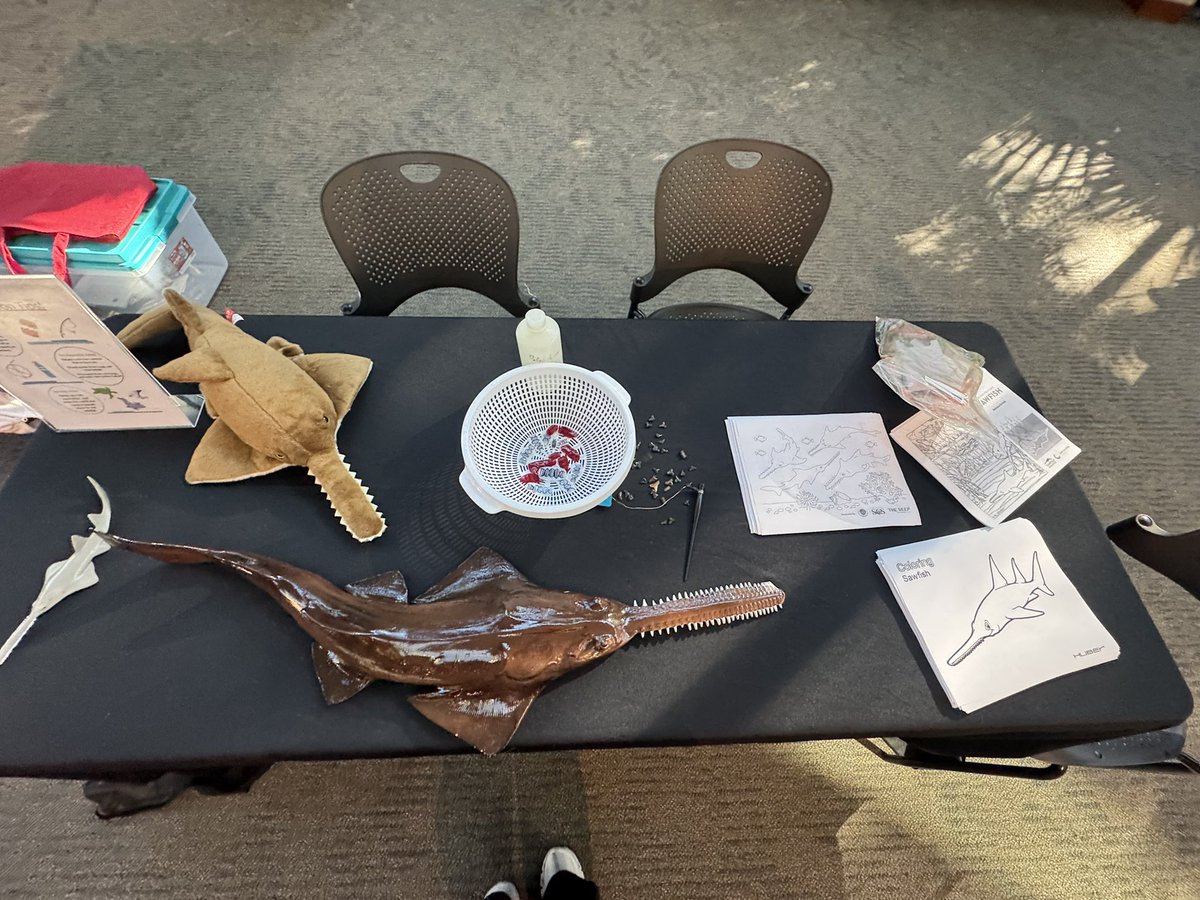 Yaliana Chichaco🌱 tweet media