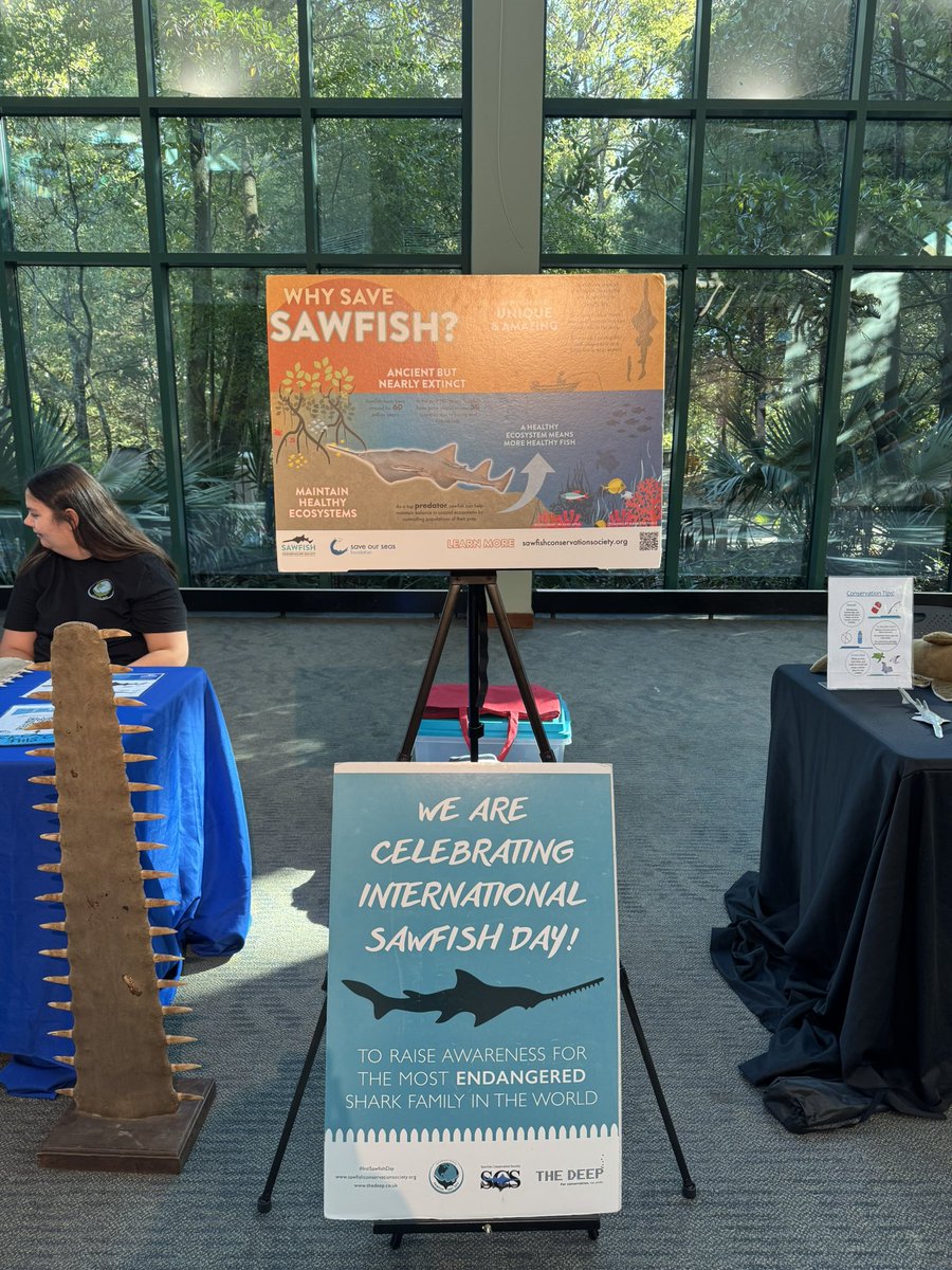 Yaliana Chichaco🌱 tweet media