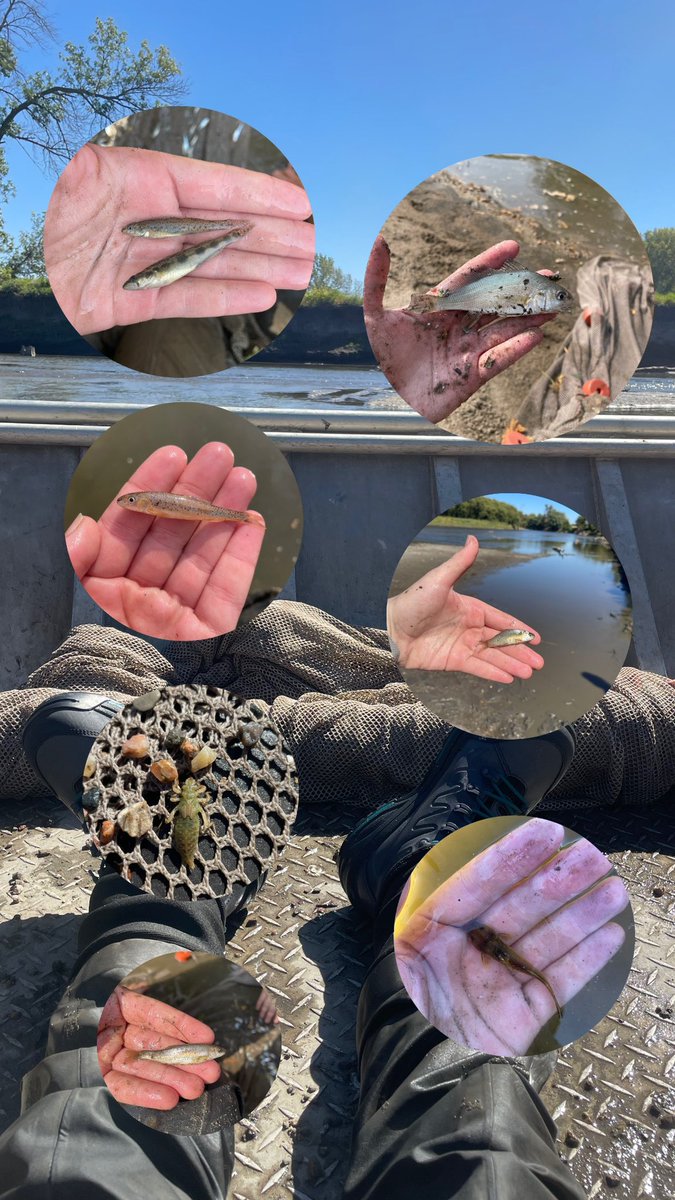 Hannah Mulligan tweet media