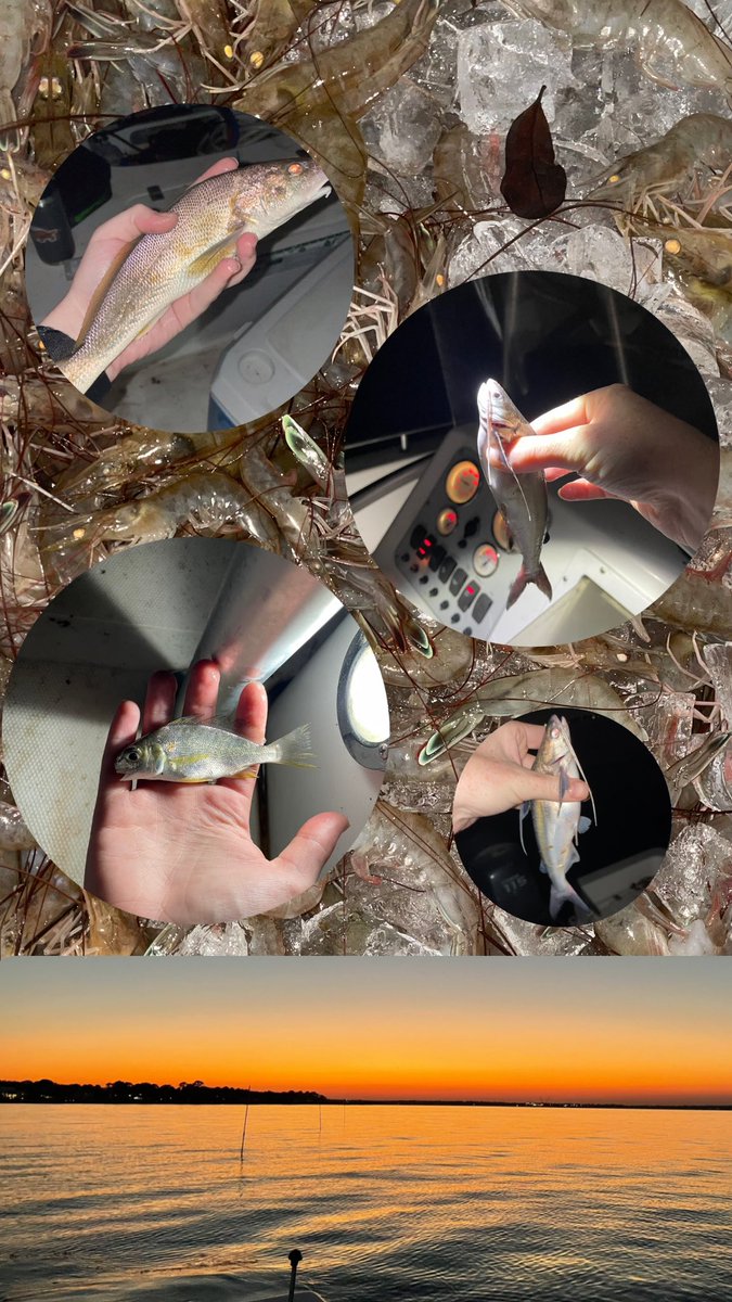 Hannah Mulligan tweet media