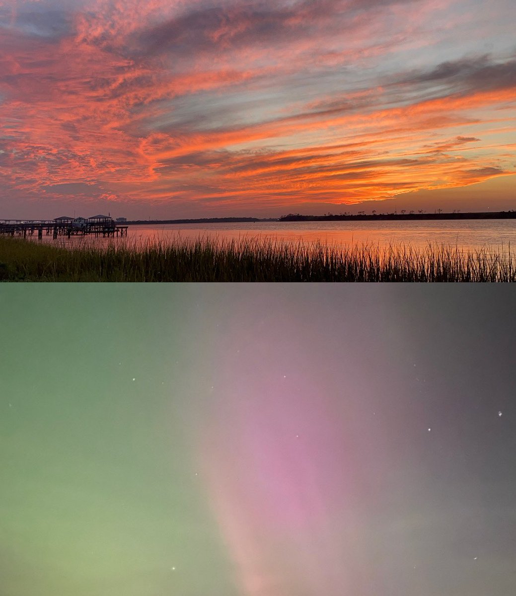 Hannah Mulligan tweet media