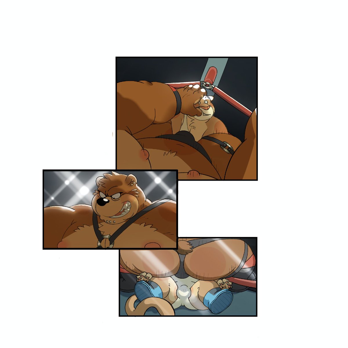 Bear and puma wrestling commission 🥊🥊✨