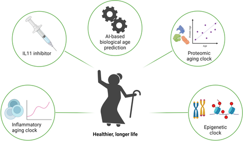 MedComm_FutMed's tweet photo. Highlight for Widjaja AA, et al. Inhibition of IL-11 signalling extends mammalian healthspan and lifespan. Nature
#FutMed Lok LSC,  at al. Unlocking longevity: How blocking IL-11 signaling could extend healthspan and lifespan.  https://t.co/BxnNTHeWLT
@dbaptista @oliviamonteiro https://t.co/H6uiTxM33R