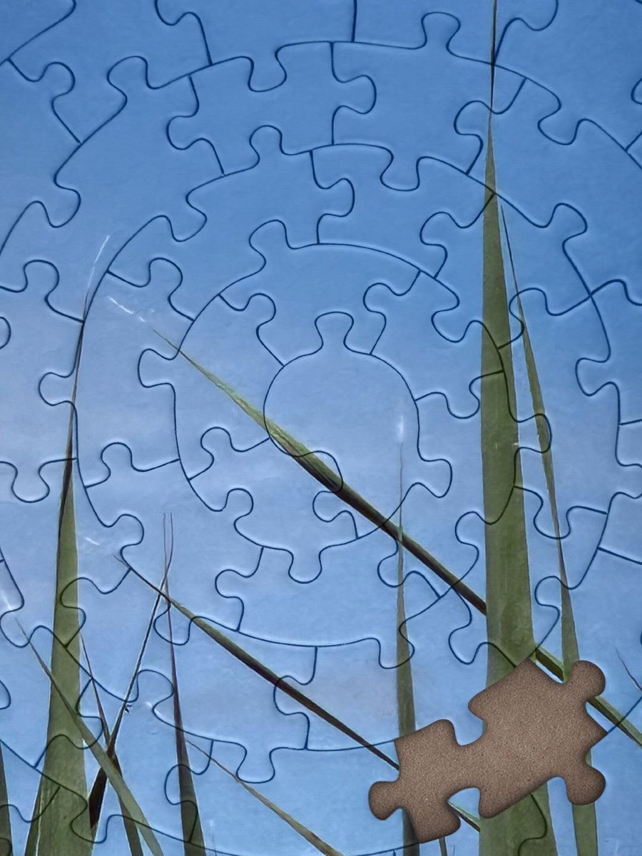 r_jon4's tweet image. #nature #sky #puzzle 🌏🧩❤️🌻
