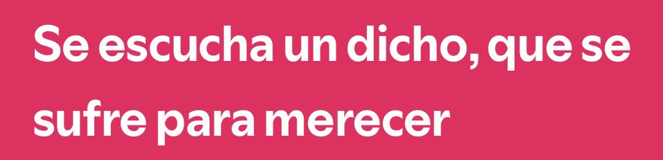 Francisco Bernard tweet media