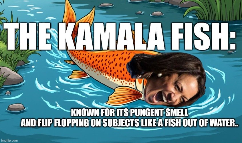 skysdadrocks's tweet photo. @joebldenpress @KamalaHarris Ok #fishler https://t.co/3UYOy1AomB