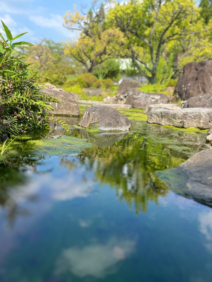 NoAirch's tweet photo. 池のおく園にて

#写真好きな人と繫がりたい 
#池のおく園 https://t.co/DYYrCfpP0V