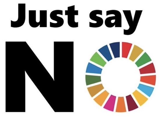 Resist_CBDC's tweet photo. #DefundTheUN and stop #Agenda2030 https://t.co/ZnCuYfESsY