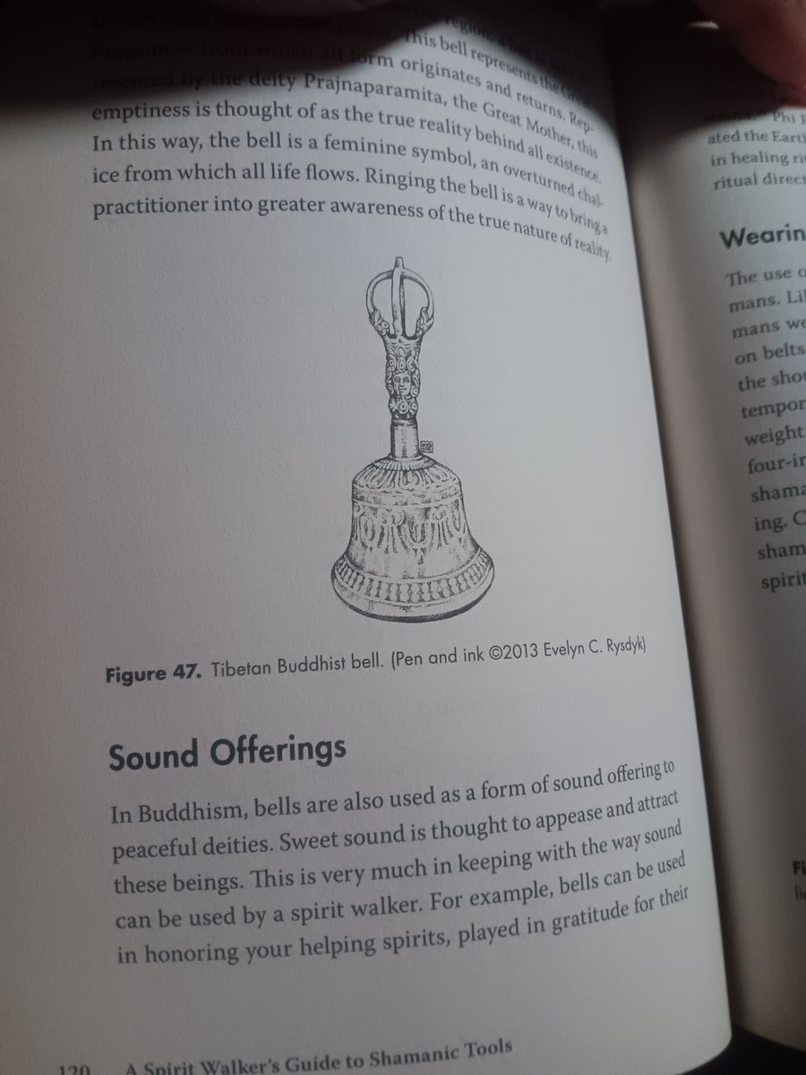 SageArsinoe's tweet photo. Interesting book.... 
I've had it for a while but, didn't need it until now.... https://t.co/942cUStePf