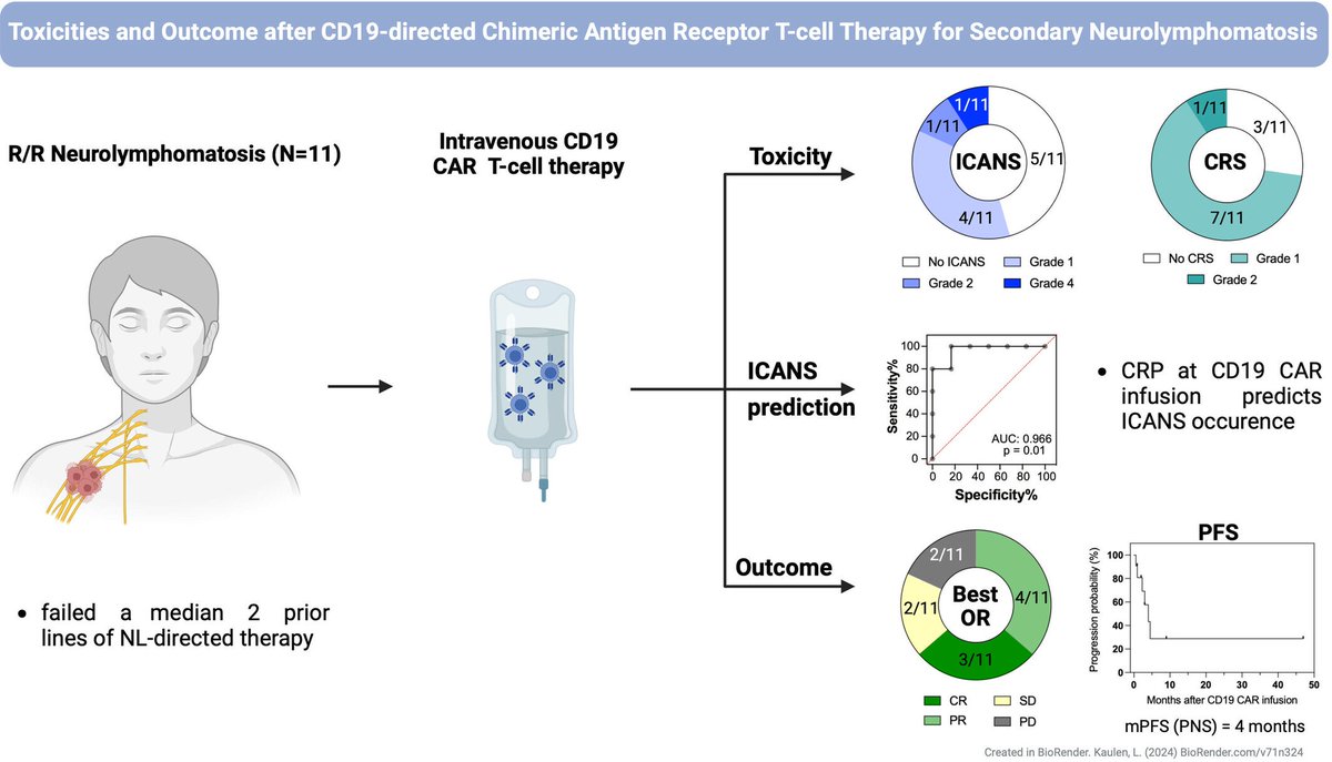 CD19-directed chimeric antigen receptor T-cells provide a novel therapeutic avenue for recurrent neurolymphomatosis, a distinct NHL subtype with unmet medical need
doi.org/10.1002/ajh.27… 
#CART #hemonc
