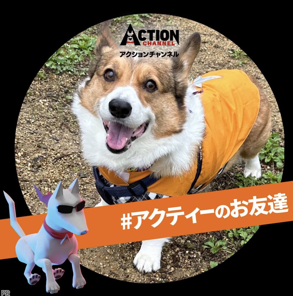 0117kotarou's tweet photo. 鉄心version🐕
#アクティーのお友達
#AXNJapan
#アクションチャンネル
#ハドソンアンドレックス https://t.co/7bTRkTZA77