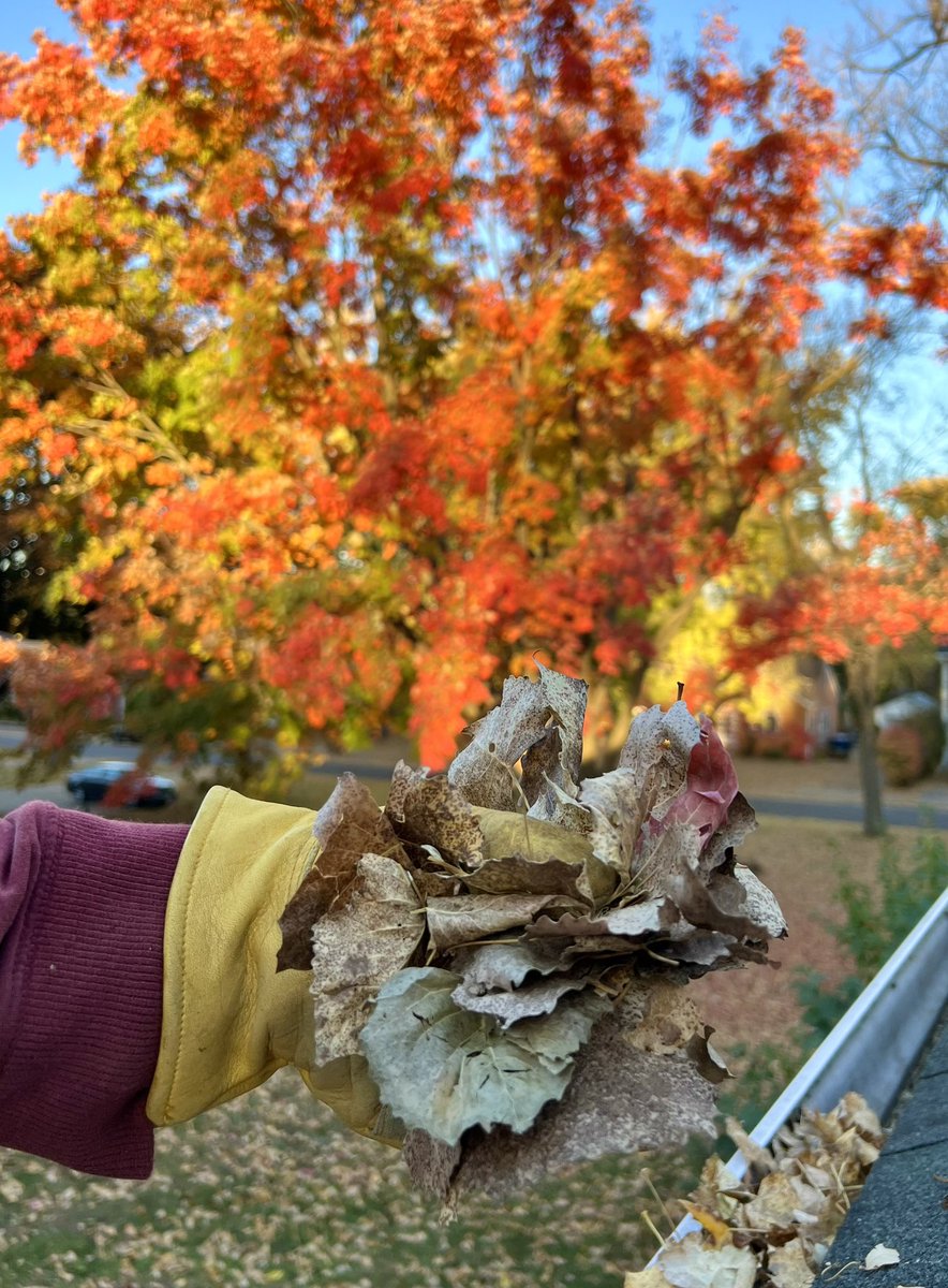 Andrew Krueger tweet media