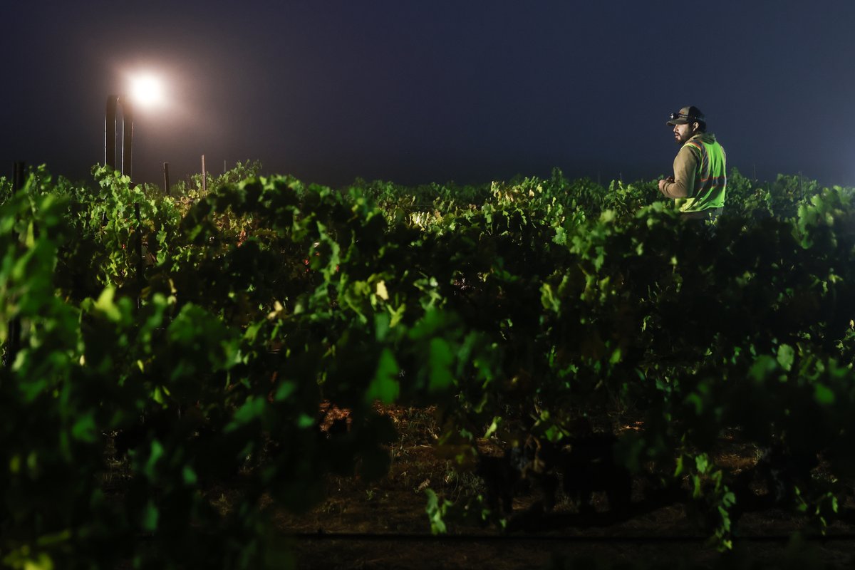 Jessica Christian tweet media