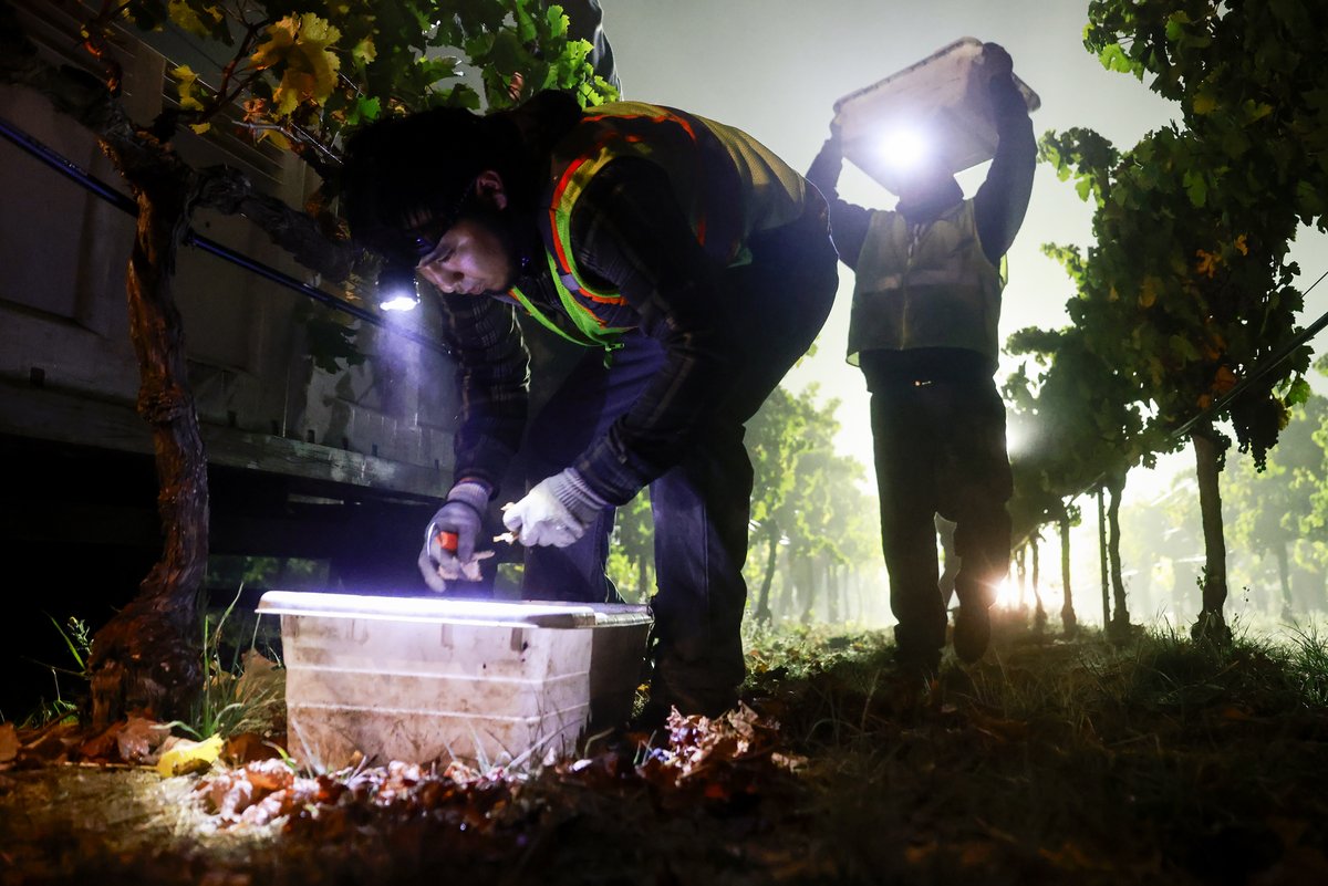 Jessica Christian tweet media